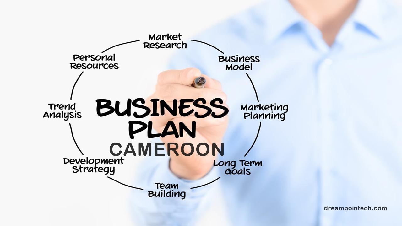 How to write a business plan (proposal) in Cameroon