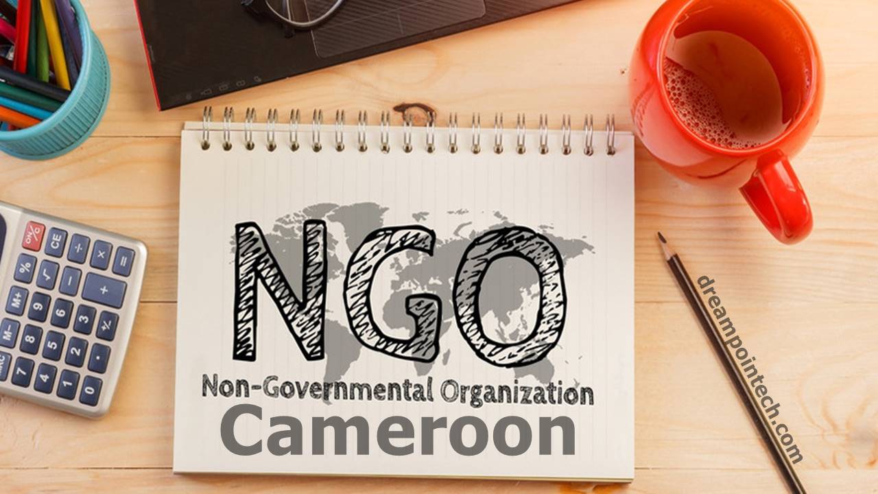 Procedure on the establishment of an NGO in Cameroon