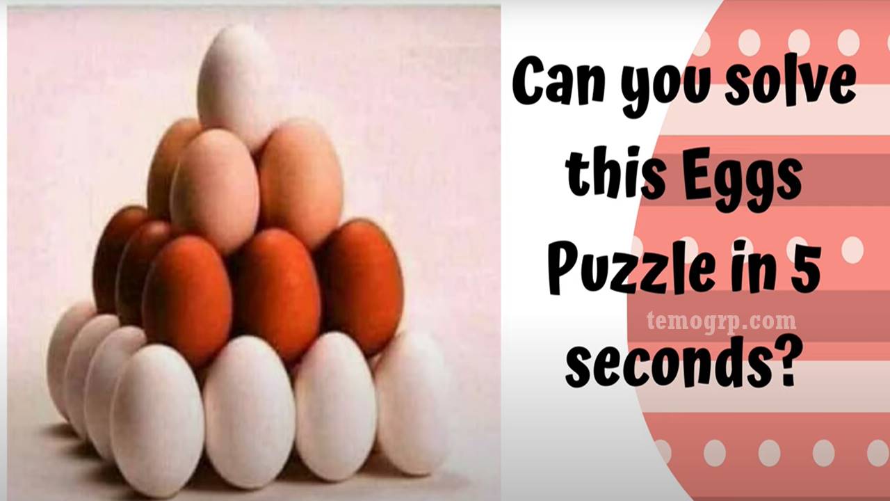 Eggs Riddle Picture Explained