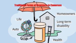 Traditional Forms of Insurance