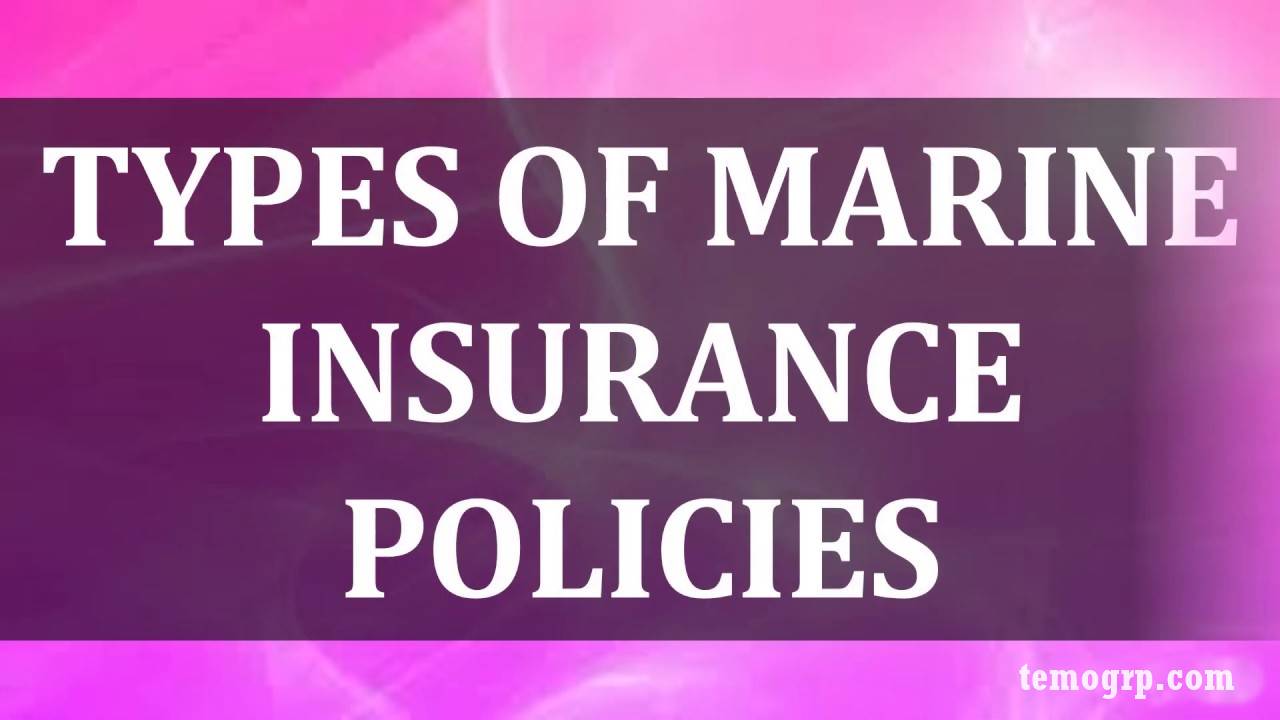Guide on the various types of insurance in Cameroon